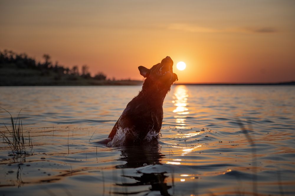 Photograph by Кудлай Яна