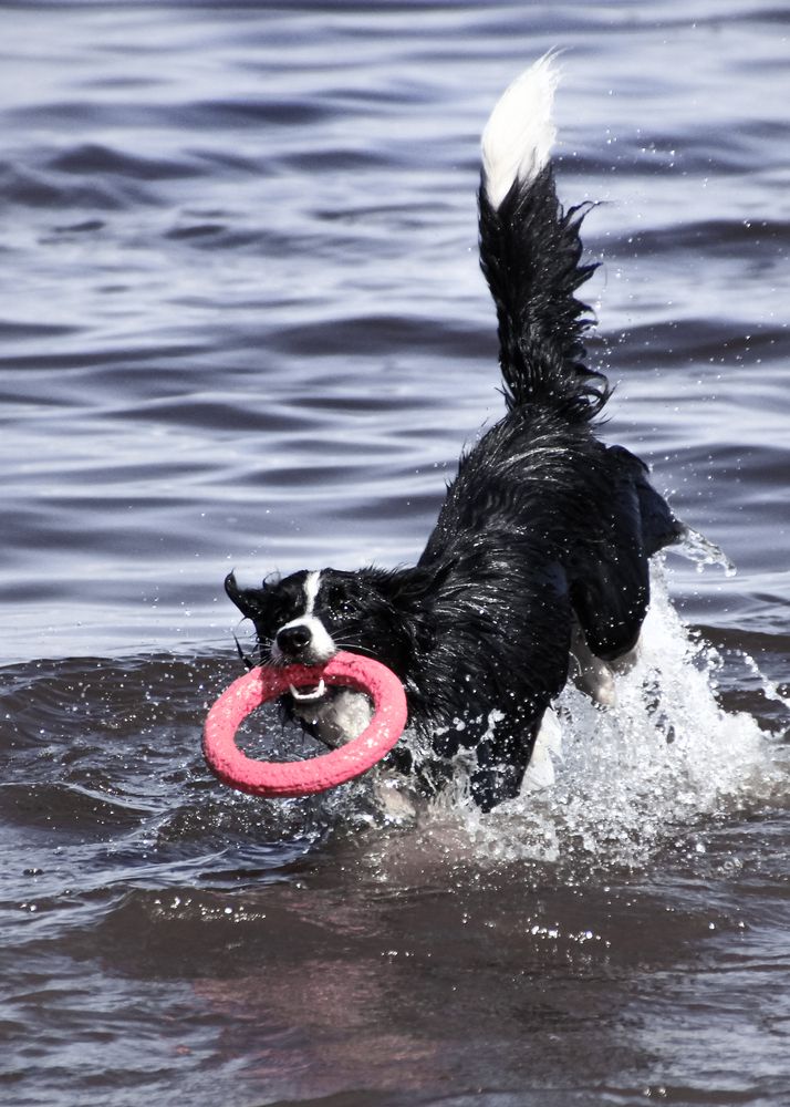 Photograph by Милана Маллер