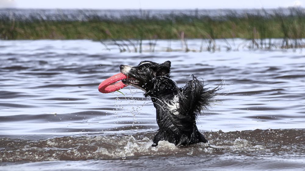 Photograph by Милана Маллер