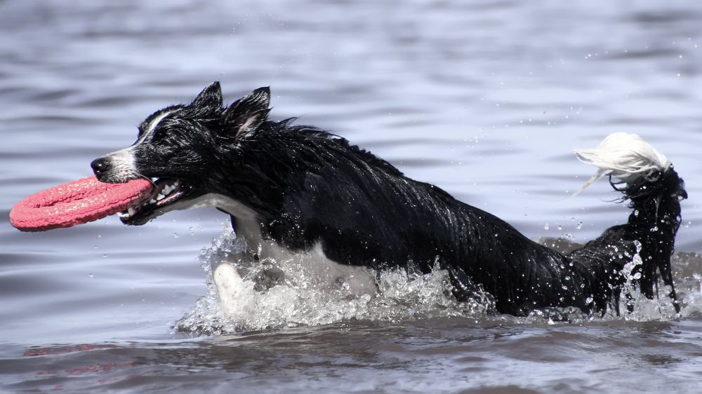 Photograph by Милана Маллер