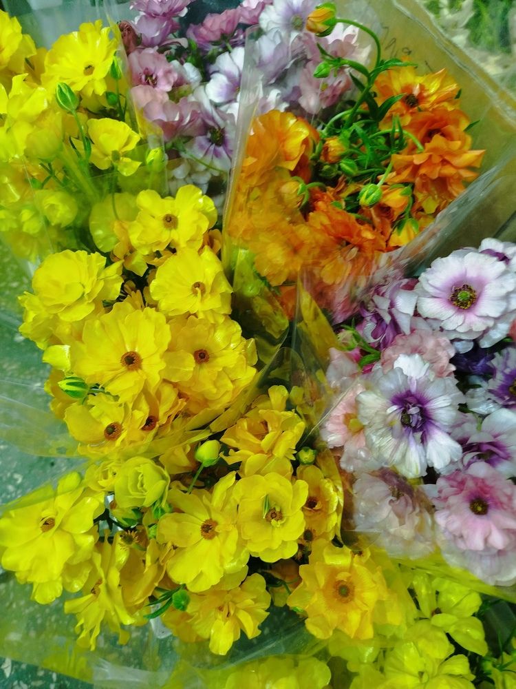 Photograph by Евгения Семёнова