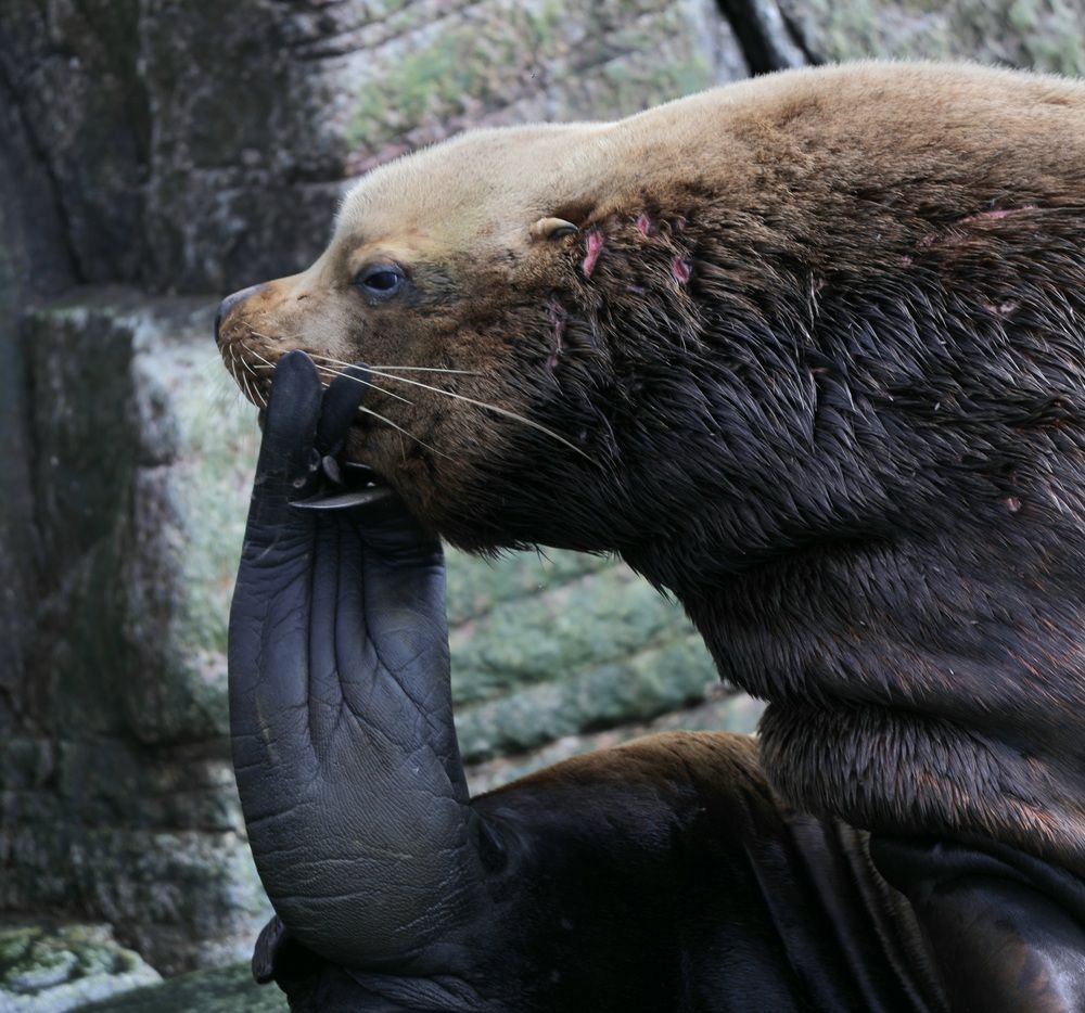 Photograph by Лариса Ким