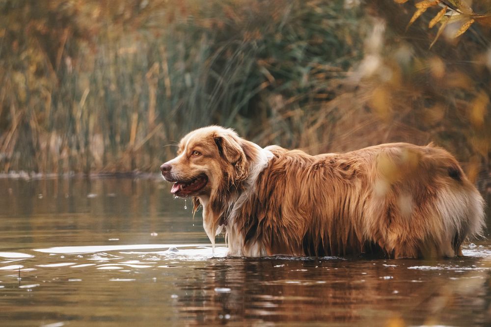 Photograph by Ксения Воробьева