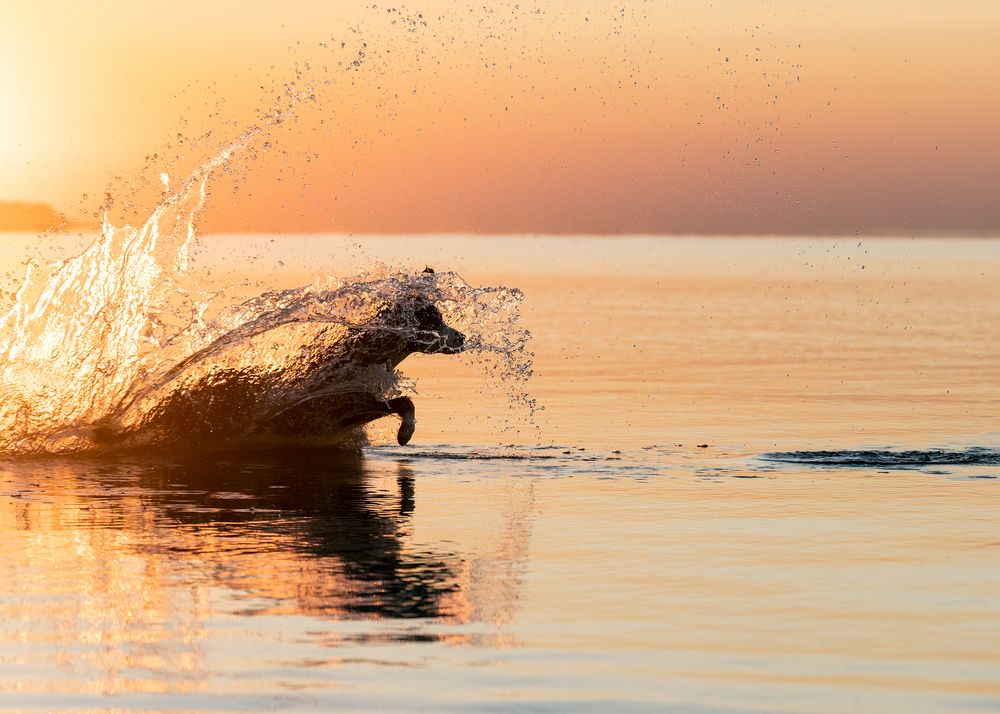 Photograph by Серебро Ольга