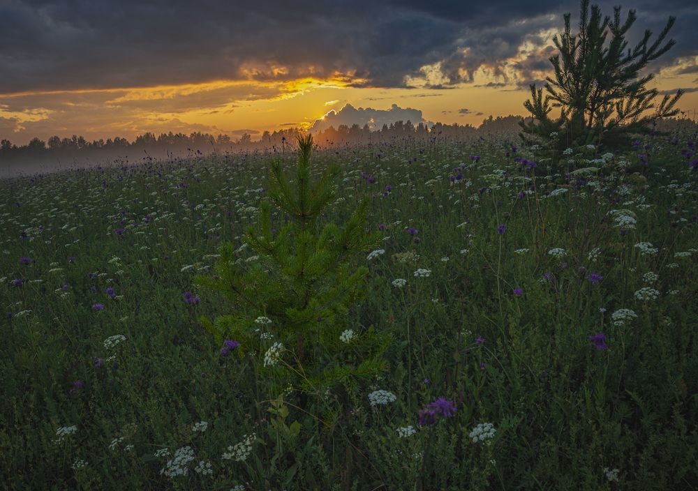 Photograph by Кокорин Алексей
