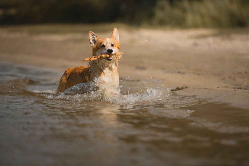 Photograph by Алена Ковалёва