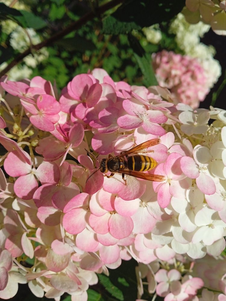 Photograph by Екатерина Степанова