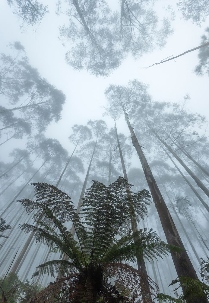 Photograph by Valdir Hobus