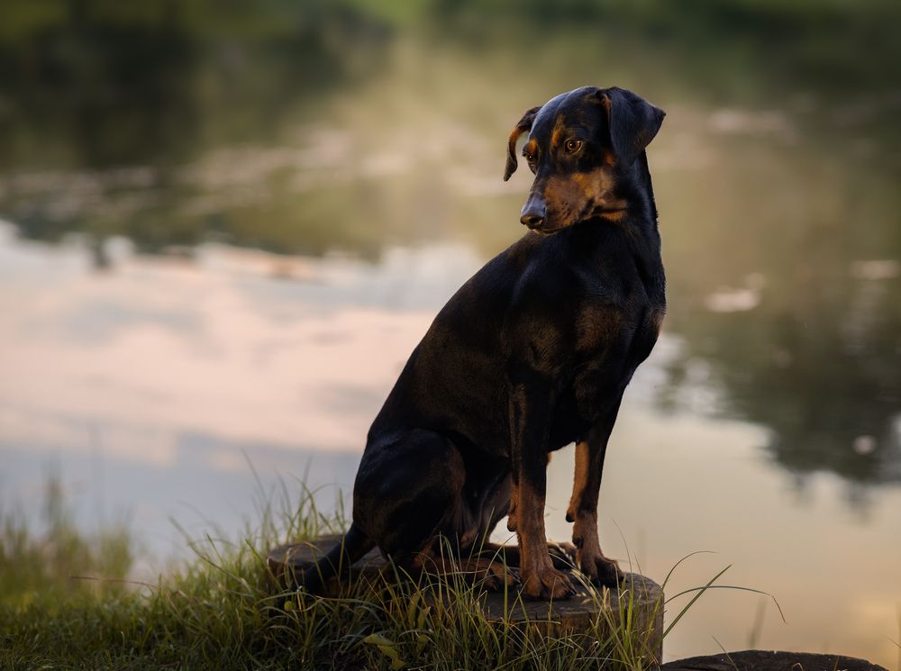Photograph by Васильева Светлана