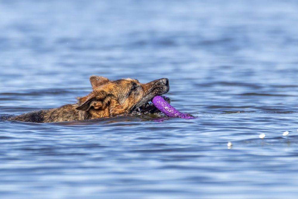 Photograph by Валентина Куренкова
