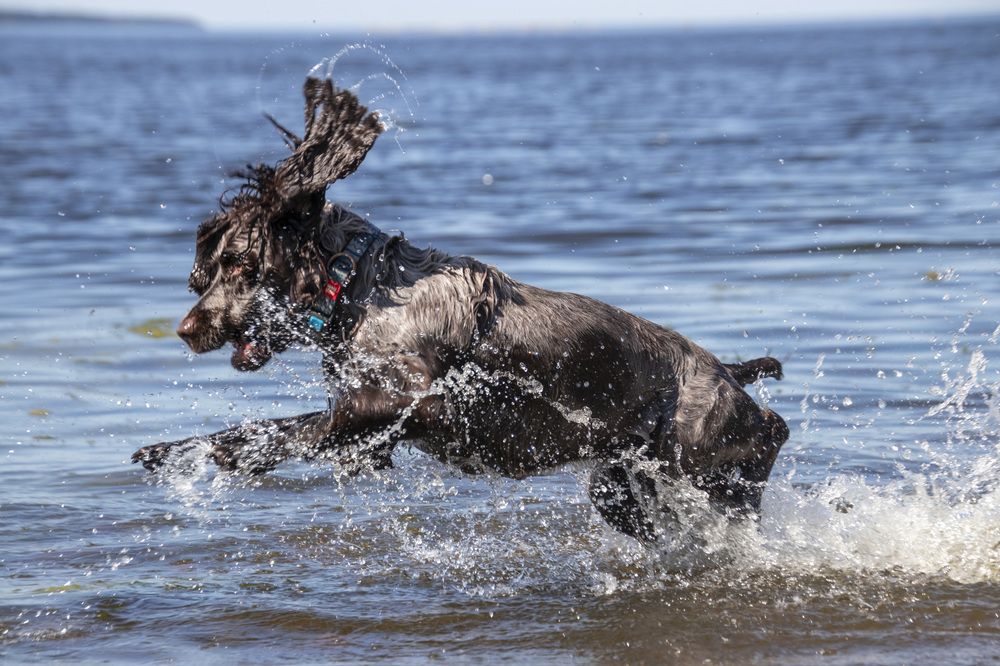 Photograph by Валентина Куренкова