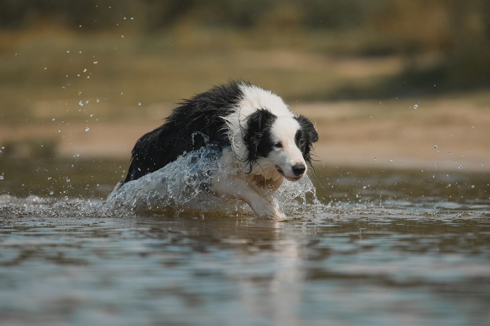 Photograph by Алена Ковалёва