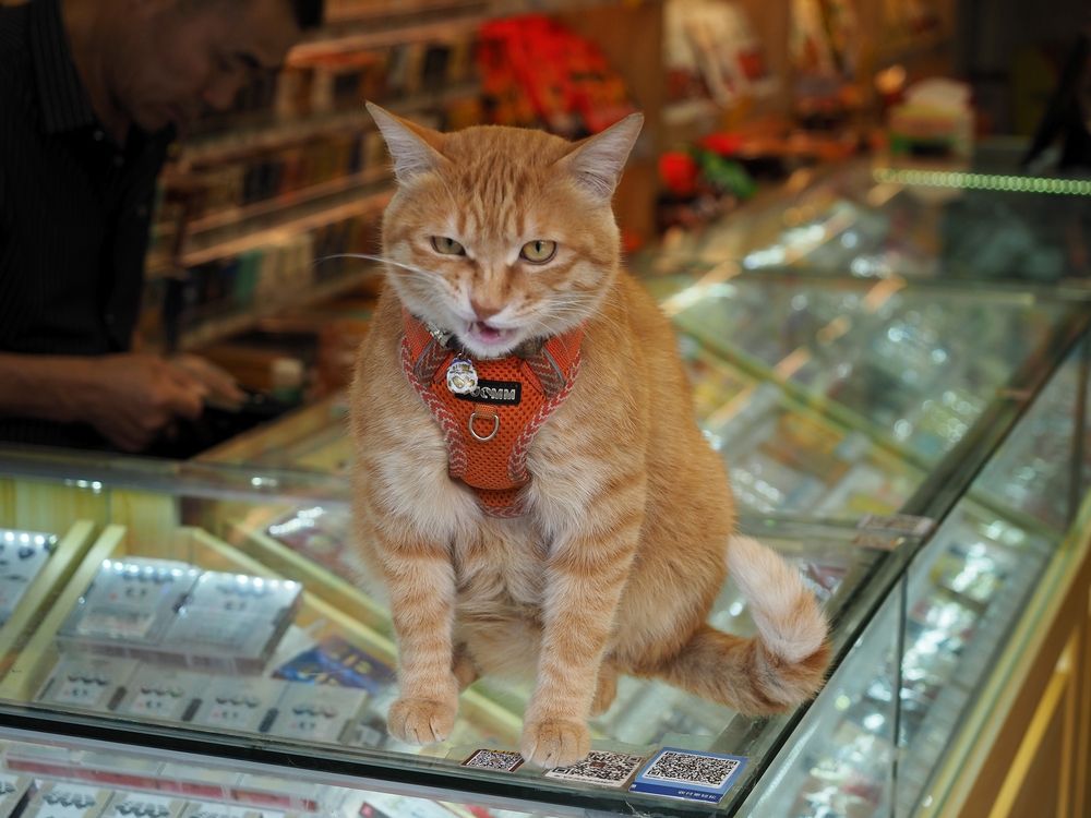 Photograph by Андрей Анатольевич