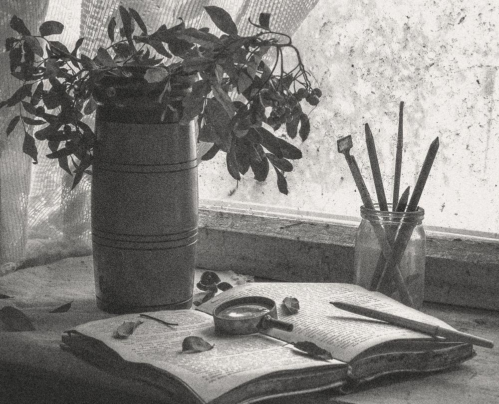Photograph by Андрей Жильцов