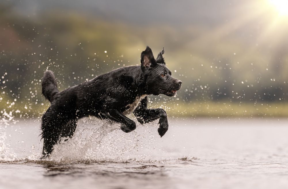 Photograph by Shanna van Mens