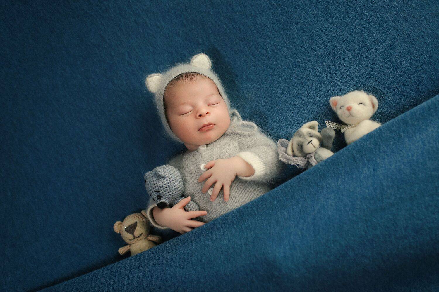 Фотография #12435729