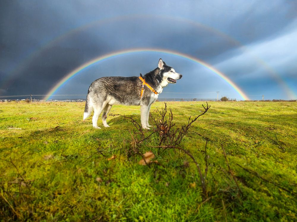Siempre correrás por el arcoiris