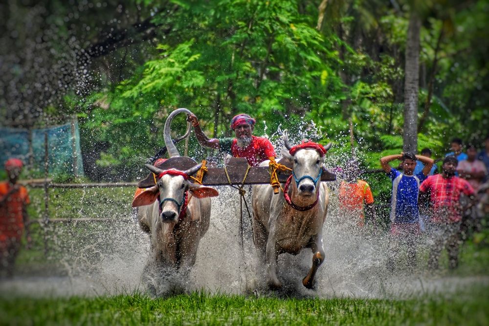 Photograph by Joy Karmakar