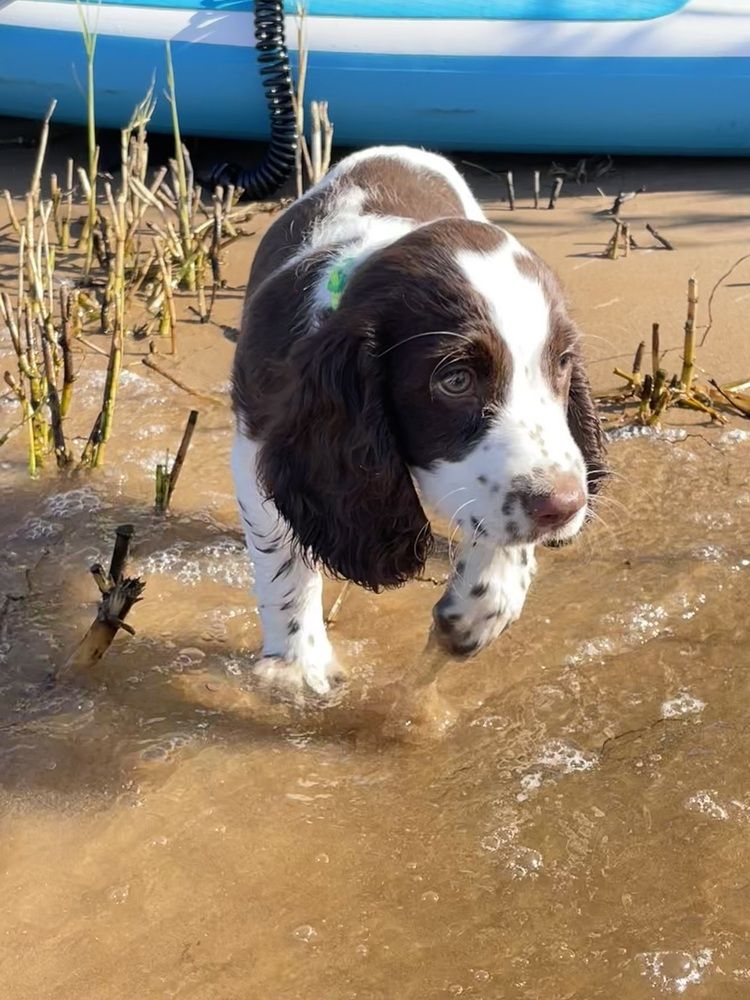 Photograph by Nadya Sterligova