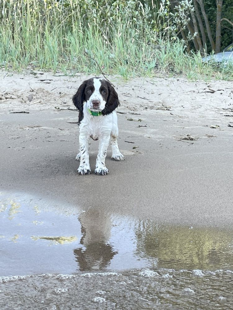 Photograph by Nadya Sterligova