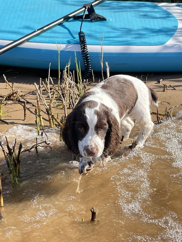 Photograph by Nadya Sterligova