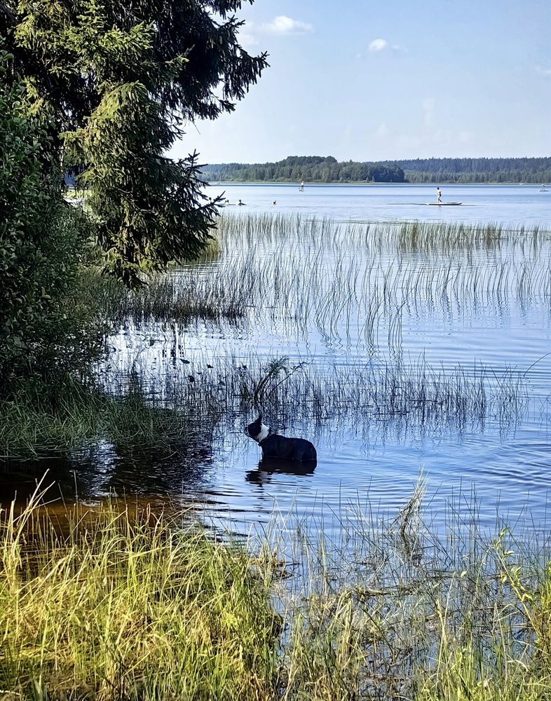 Photograph by Светлана Морева