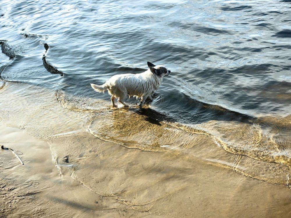 Photograph by Светлана Морева