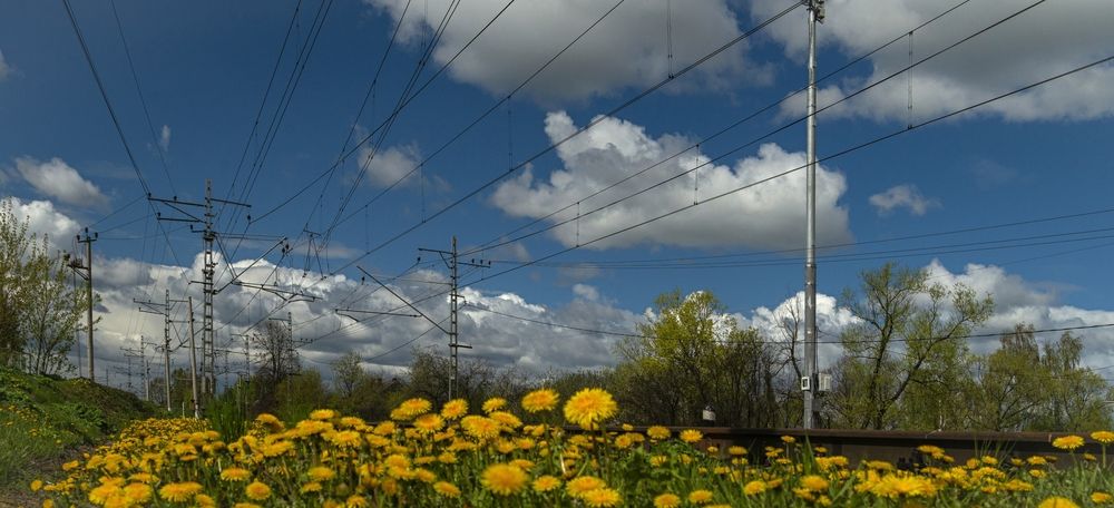 Photograph by Сергей Басов