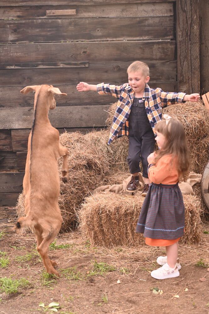 Photograph by Елена Савченкова