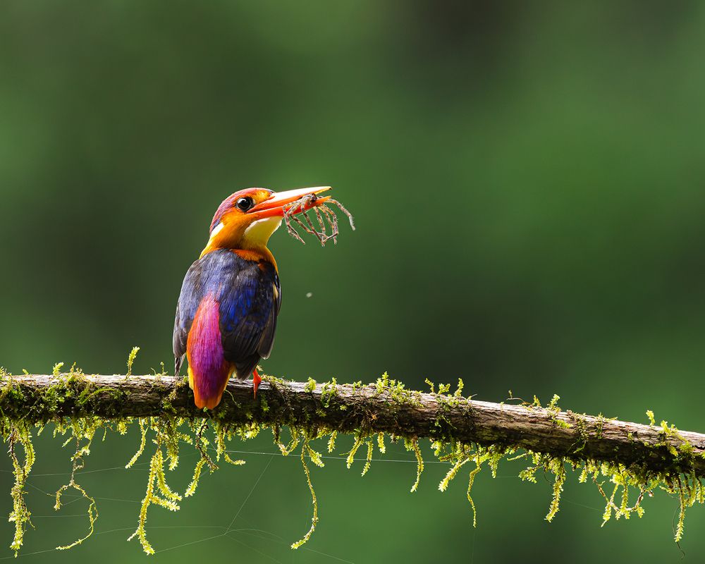 Photograph by Nikhil Parnandi