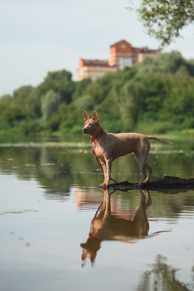 Photograph by Алена Ковалёва