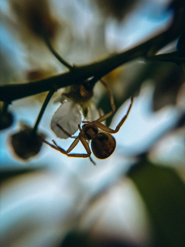 Photograph by Марина Харитонова