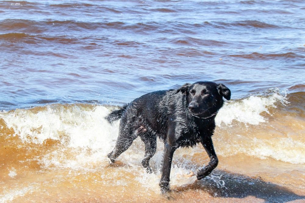 Photograph by Igors Rostikovs