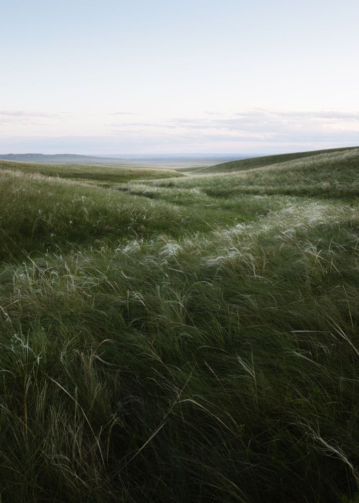 Photograph by Сергей Дивид