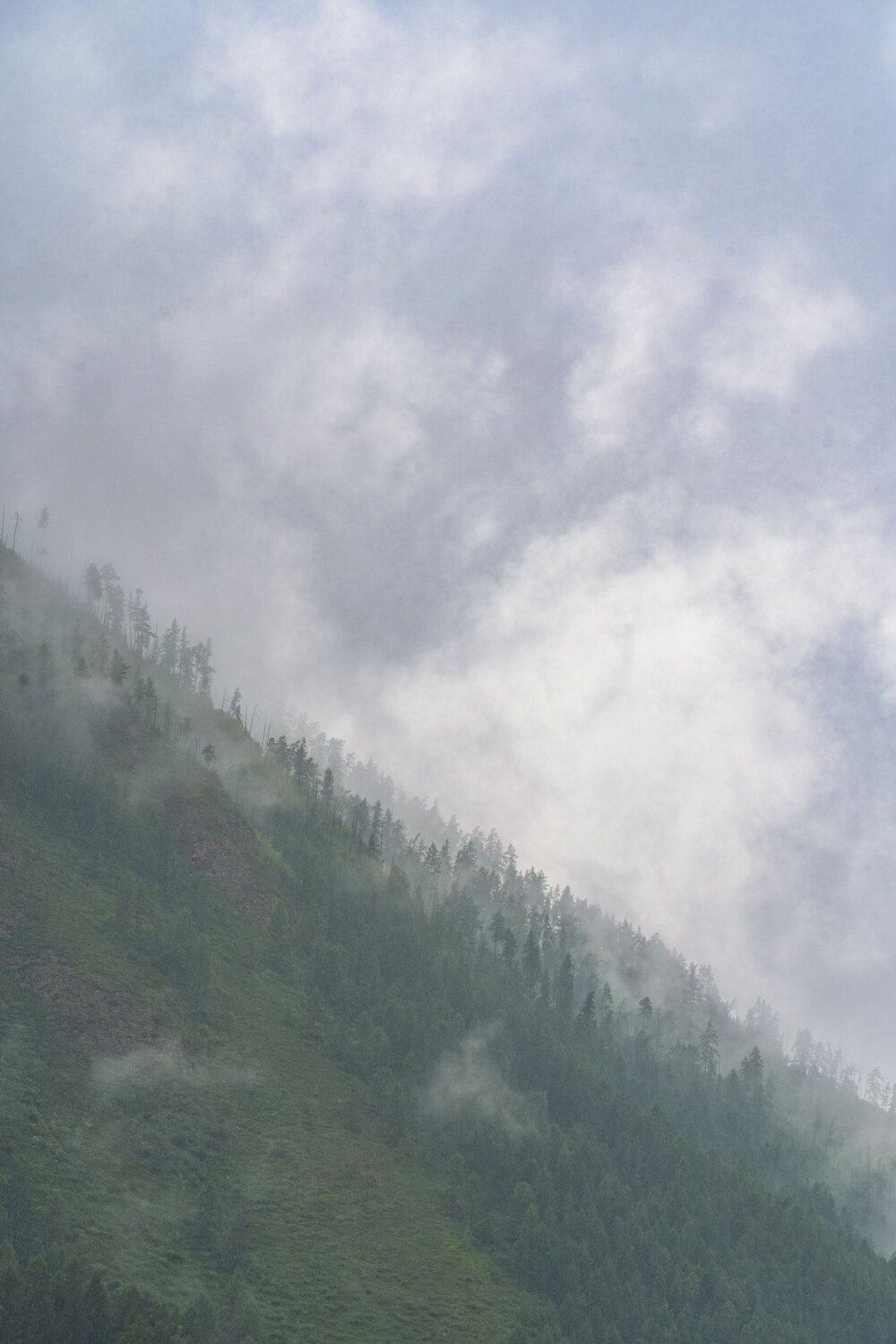 Photo #12436177
