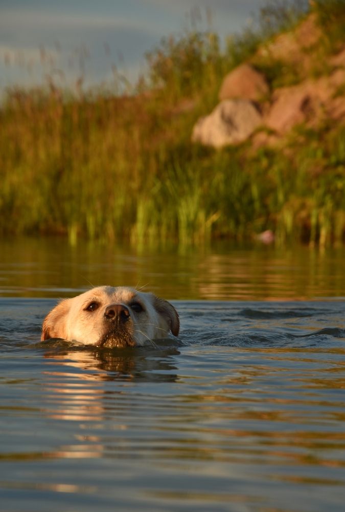 Photograph by Татьяна Абабкова