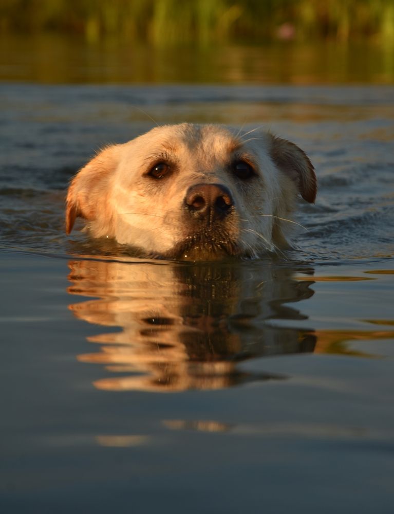 Photograph by Татьяна Абабкова