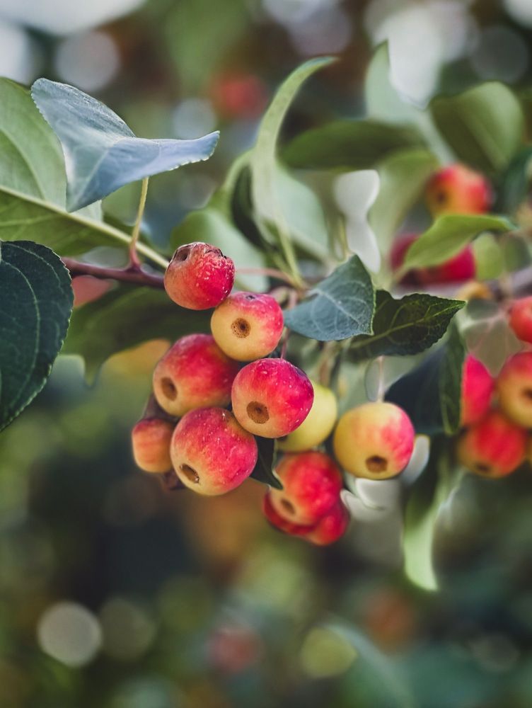 Photograph by Татьяна Волохова