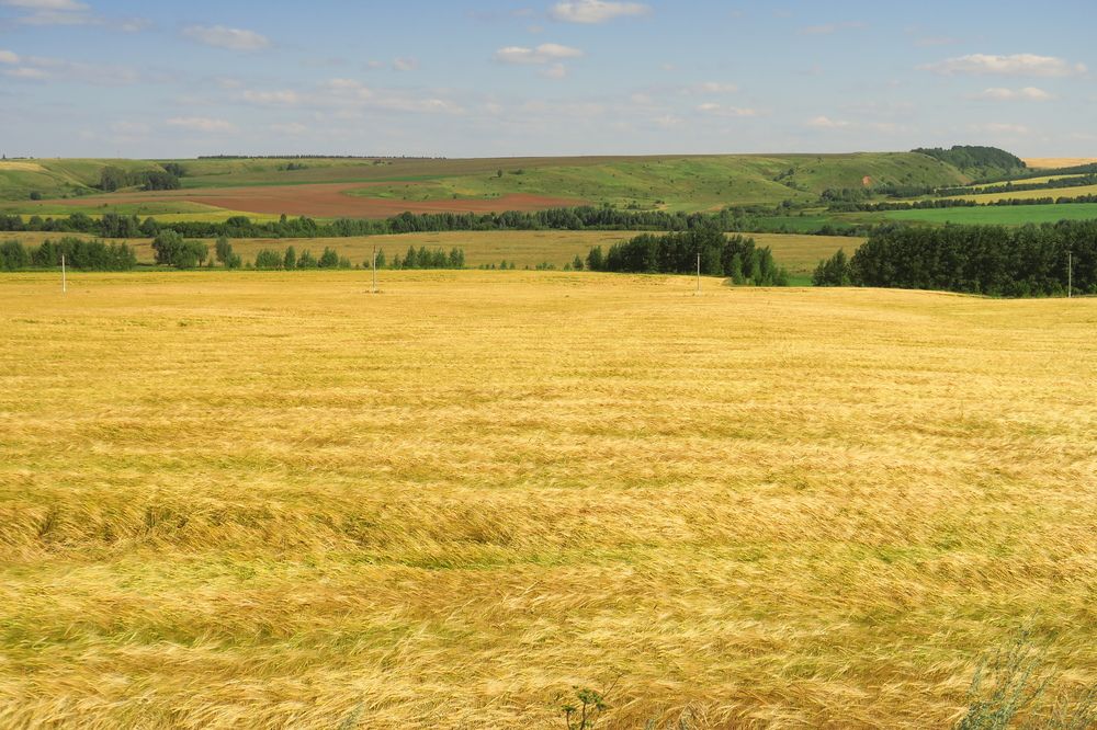 Photograph by Орл Про