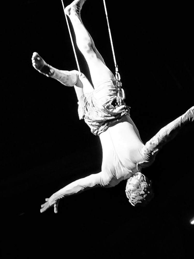 Photo #12436298