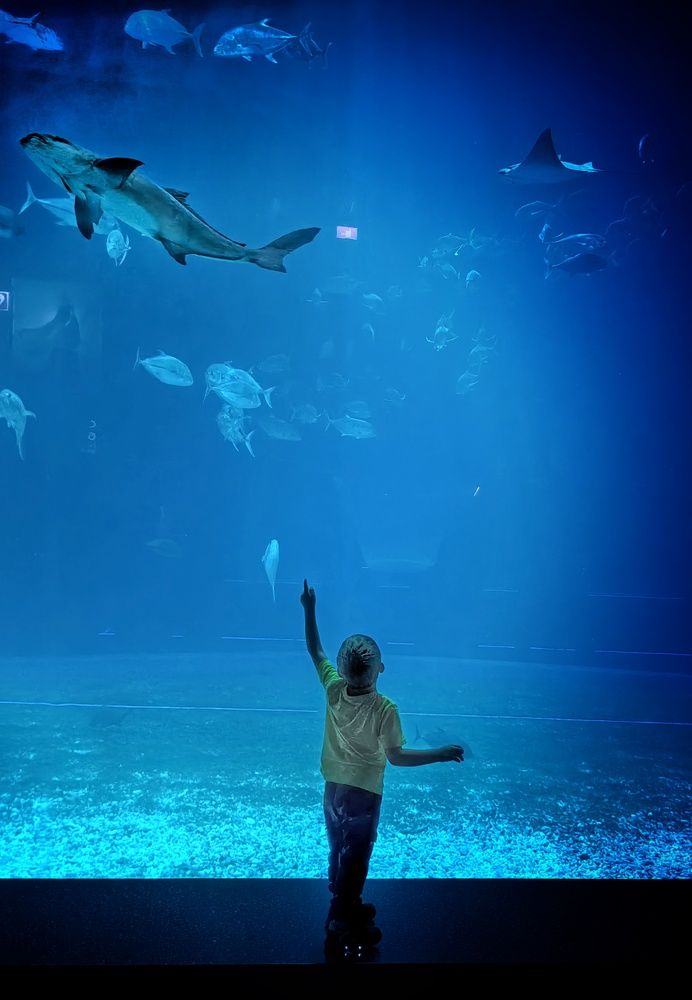 Photograph by Кривенко Владимир