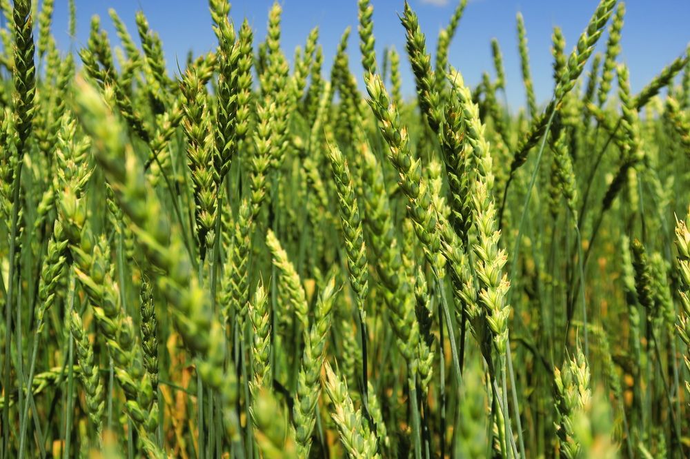 Photograph by Орл Про