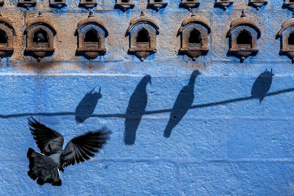 Photograph by Saurabh Sirohiya