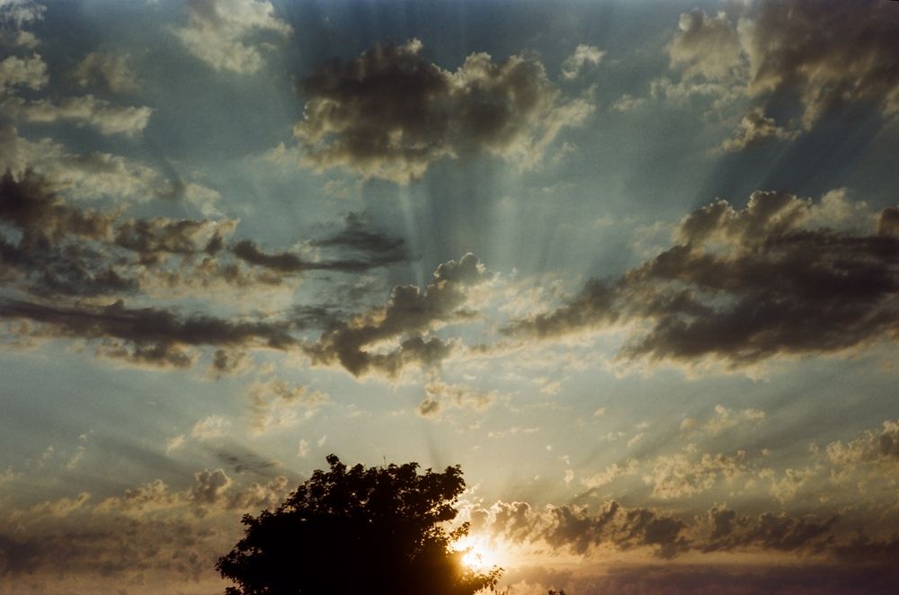 Photograph by Анна Мещерина