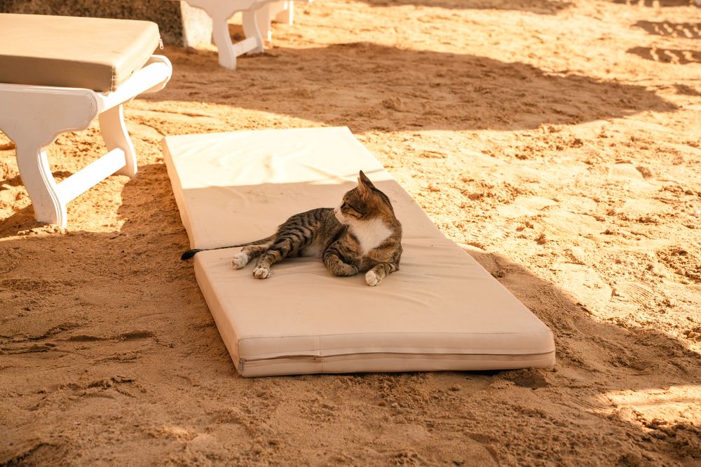 Photograph by Валерия Лунина