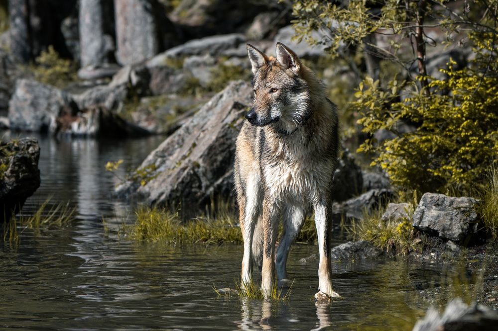 Photograph by Jean pierre