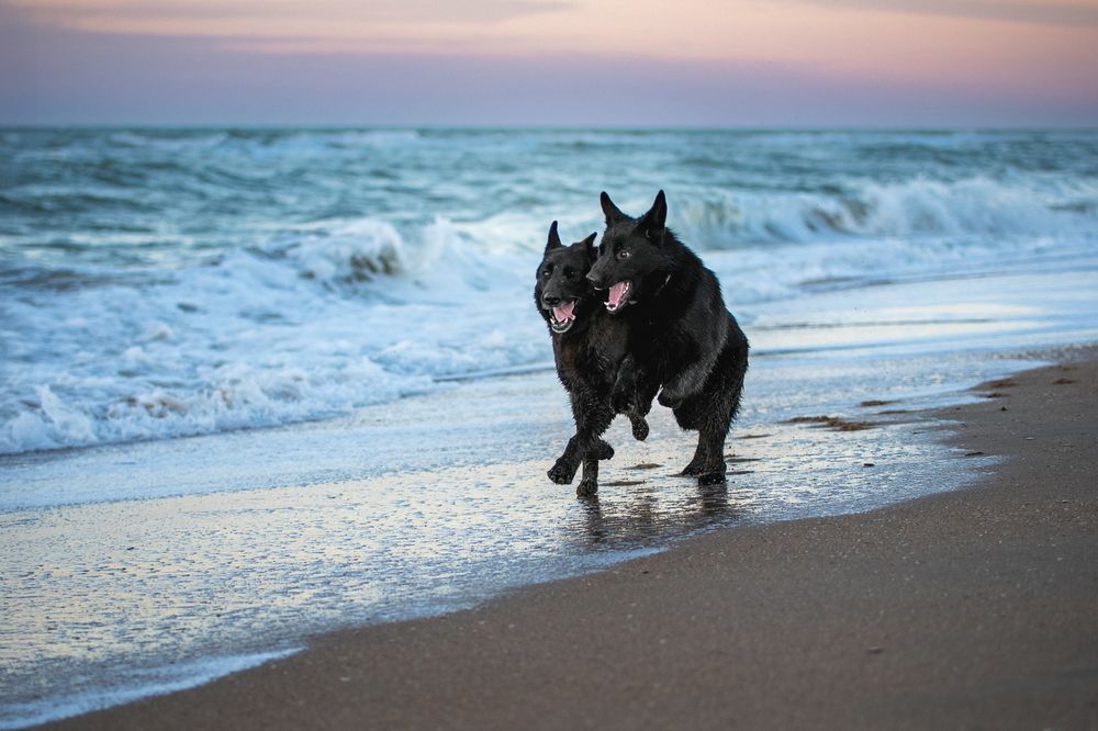 Photograph by Наталья Орел