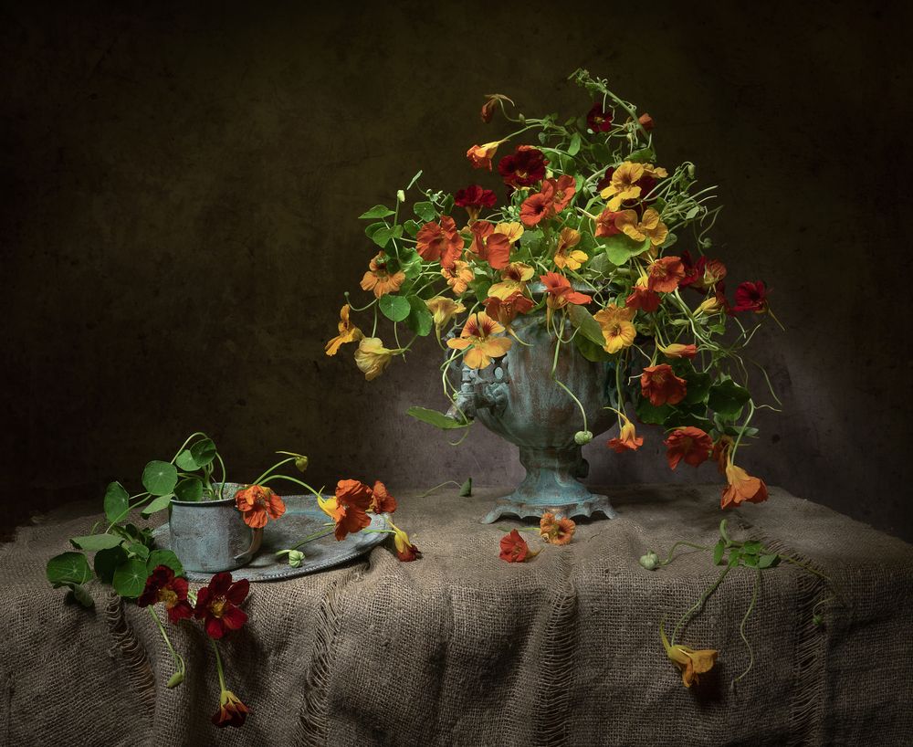 Фотография автора Татьяна Феденкова