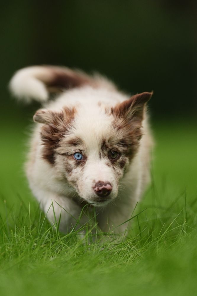 Фотография автора Егор Иванов