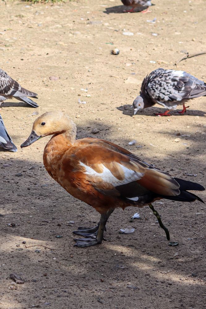 Photograph by Аня Проскурякова